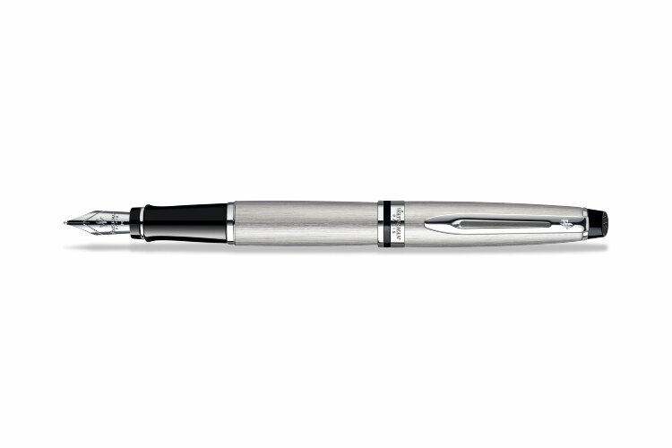 Перьевая ручка Waterman Expert 3 Stainless Steel CT (S0952040)