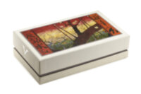 Перьевая ручка Visconti Van Gogh Placcato oro (VI KP12-23-FPVF),(VI KP12-23-FPVM)