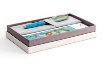 Перьевая ручка Visconti Van Gogh Portrait (VI KP12-01-FPVF),(VI KP12-01-FPVM)