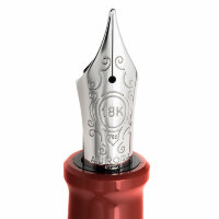 Перьевая ручка Aurora Limited Collection Firenze Solid Silver (AU 800-AFM)